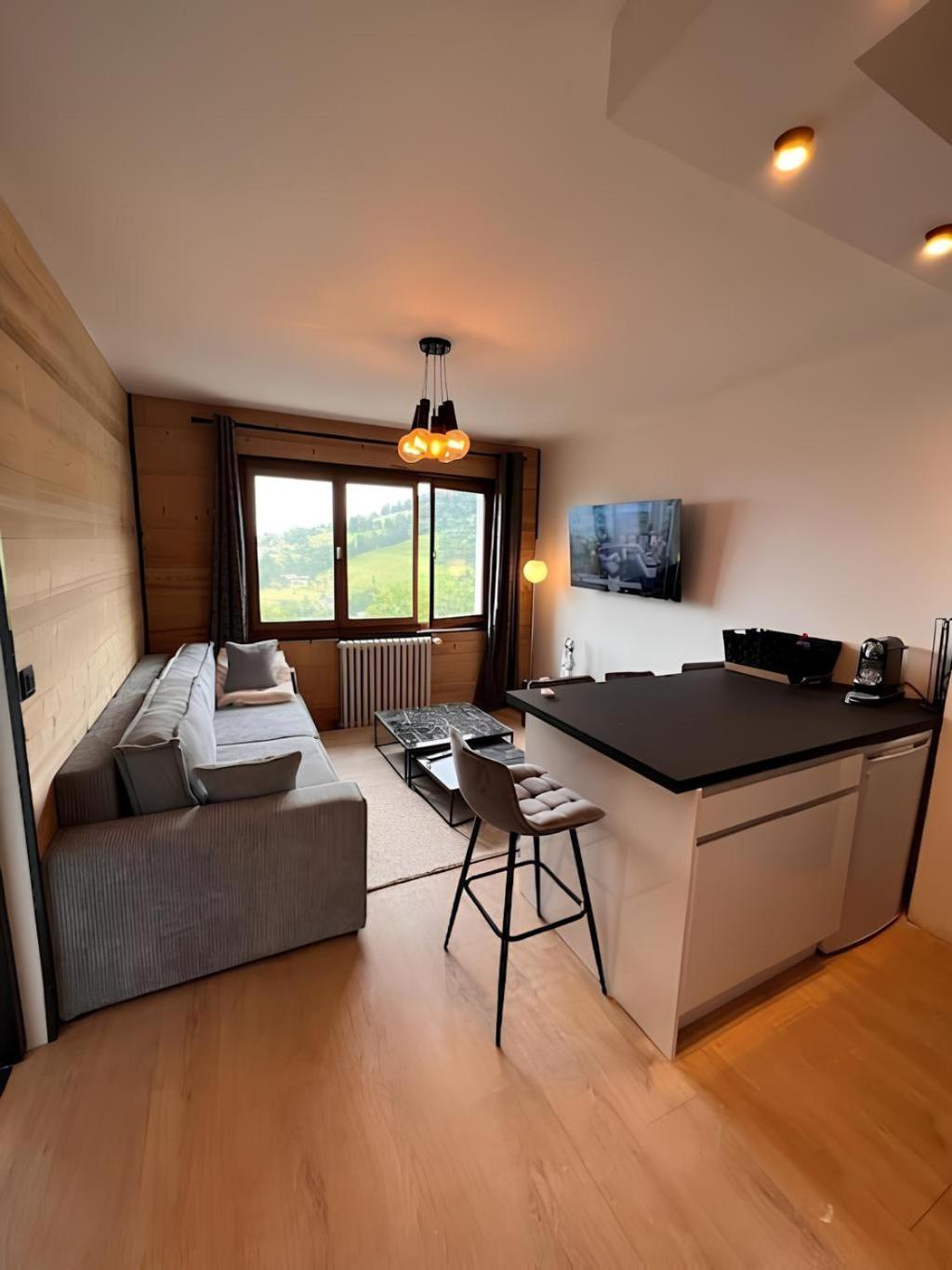 Vue Mont Blanc, Ski Et Village Combloux Exterior foto